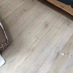 Meet your Posher, Trisha